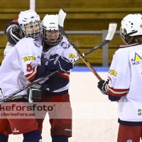 2012-03-04, Ishockey,  Sölvesborgs IK - Åseda IF: 3-9