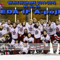 2012-03-04, Ishockey, Sölvesborgs IK - Åseda IF: 3-9
