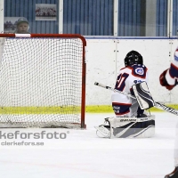 2012-03-11, Ishockey,  Åseda IF - Mörrum GoIS HK: 8 - 3