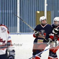 2012-03-11, Ishockey,  Åseda IF - Mörrum GoIS HK: 8 - 3