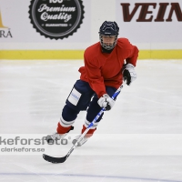 2012-08-06, Ishockey,  Halmstad Hammers - :