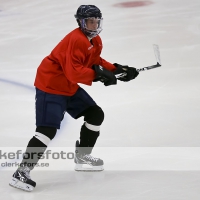 2012-08-06, Ishockey,  Halmstad Hammers - :