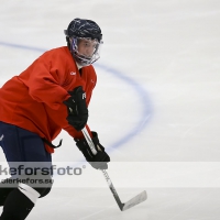 2012-08-06, Ishockey,  Halmstad Hammers - :