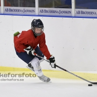 2012-08-07, Ishockey,  Halmstad Hammers - :