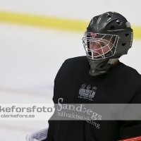 2012-08-07, Ishockey,  Halmstad Hammers - :