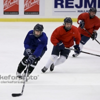 2012-08-07, Ishockey,  Halmstad Hammers - :