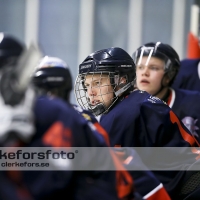 2012-09-29, Ishockey,  Halmstad Hammers - Hovås Hockey: