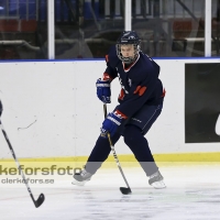 2012-10-13, Ishockey,  Halmstad Hammers - Bäcken HF:
