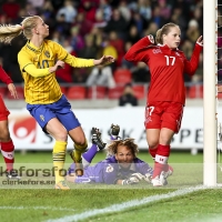 Fotboll Träningslandskamp Sverige  - Schweiz: 3 - 0