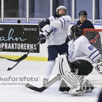 2012-11-03, Ishockey,  Halmstad Hammers - Jonstorp IF: