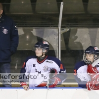 2012-11-10, Ishockey,  Pantern IF - Halmstad Hammers: