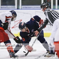 2012-11-24, Ishockey,  Halmstad Hammers - Hanhals IF: 8 - 6