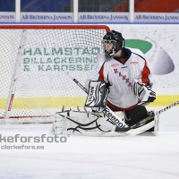 2012-11-24, Ishockey,  Halmstad Hammers - Hanhals IF: 8 - 6