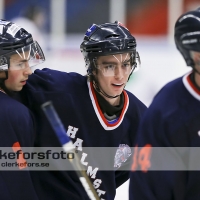 2012-11-24, Ishockey,  Halmstad Hammers - Hanhals IF: 8 - 6