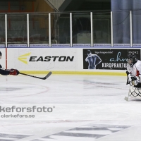 2012-11-24, Ishockey,  Halmstad Hammers - Hanhals IF: 8 - 6