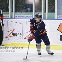 2012-11-24, Ishockey,  Halmstad Hammers - Hanhals IF: 8 - 6