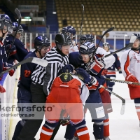 2012-11-24, Ishockey,  Halmstad Hammers - Hanhals IF: 8 - 6