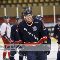 2012-11-24, Ishockey,  Halmstad Hammers - Hanhals IF: 8 - 6