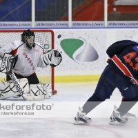 2012-11-24, Ishockey,  Halmstad Hammers - Hanhals IF: 8 - 6