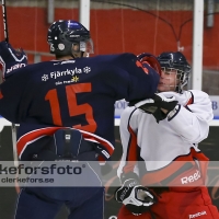 2012-11-24, Ishockey,  Halmstad Hammers - Hanhals IF: 8 - 6