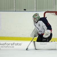 2012-12-09, Ishockey,  Hisingens HK - Halmstad Hammers: