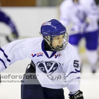 2012-12-25, Ishockey,  Virserum SGF - Virserum Hemvändare: