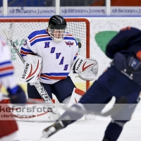 2013-01-19, Ishockey,  Halmstad Hammers - Hovås HC: 8 - 0