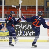 2013-01-19, Ishockey,  Halmstad Hammers - Hovås HC: 8 - 0