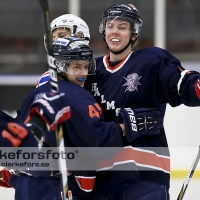 2013-01-19, Ishockey,  Halmstad Hammers - Hovås HC: 8 - 0