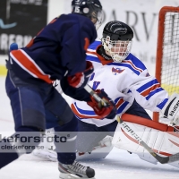 2013-01-19, Ishockey,  Halmstad Hammers - Hovås HC: 8 - 0