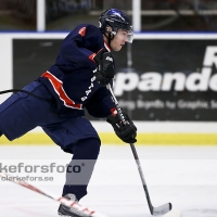 2013-01-19, Ishockey,  Halmstad Hammers - Hovås HC: 8 - 0