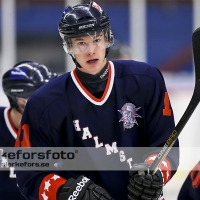 2013-01-19, Ishockey,  Halmstad Hammers - Hovås HC: 8 - 0