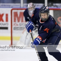 2013-01-19, Ishockey,  Halmstad Hammers - Hovås HC: 8 - 0