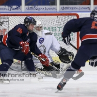 2013-01-27, Ishockey,  Halmstad Hammers - Vänersborgs HC: 8 - 4