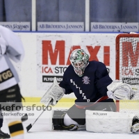 2013-01-27, Ishockey,  Halmstad Hammers - Vänersborgs HC: 8 - 4