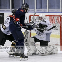 2013-01-27, Ishockey,  Halmstad Hammers - Vänersborgs HC: 8 - 4