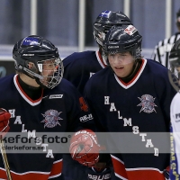 2013-01-27, Ishockey,  Halmstad Hammers - Vänersborgs HC: 8 - 4