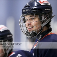 2013-01-27, Ishockey,  Halmstad Hammers - Vänersborgs HC: 8 - 4