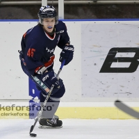 2013-02-02, Ishockey,  Halmstad Hammers - Bäcken HC:1 - 4