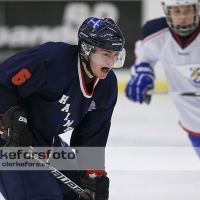 2013-02-02, Ishockey,  Halmstad Hammers - Bäcken HC:1 - 4