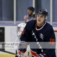 2013-02-16, Ishockey,  Halmstad Hammers - Grästorp IK: 5 - 7