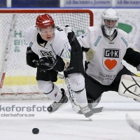 2013-02-16, Ishockey,  Halmstad Hammers - Grästorp IK: 5 - 7