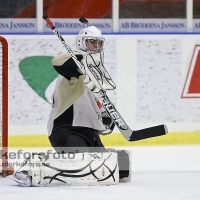 2013-02-16, Ishockey,  Halmstad Hammers - Grästorp IK: 5 - 7