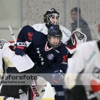 2013-02-17, Ishockey,  Halmstad Hammers - Grästorps IK: 6 - 5