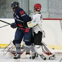 2013-02-17, Ishockey,  Halmstad Hammers - Grästorps IK: 6 - 5