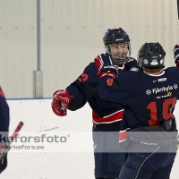 2013-02-17, Ishockey,  Halmstad Hammers - Grästorps IK: 6 - 5