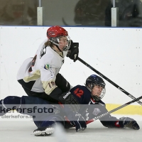 2013-02-17, Ishockey,  Halmstad Hammers - Grästorps IK: 6 - 5
