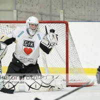 2013-02-17, Ishockey,  Halmstad Hammers - Grästorps IK: 6 - 5