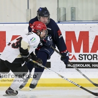 2013-02-17, Ishockey,  Halmstad Hammers - Grästorps IK: 6 - 5