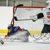 2013-02-17, Ishockey,  Halmstad Hammers - Grästorps IK: 6 - 5